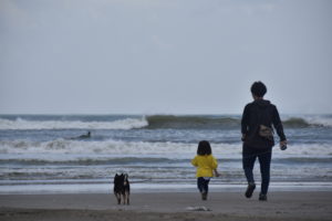 鳥の眼、虫の眼、魚の眼