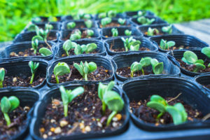 想像以上に大変