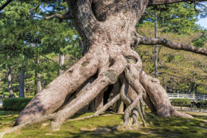 志を持つ人たち