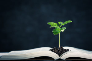 成功する人が、とにかくまず最初にする事は何か？