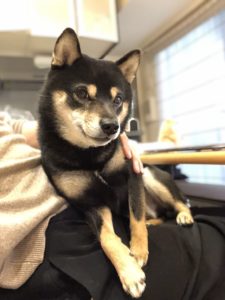 稼がないといけない理由はなんなの？