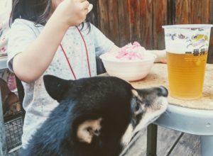 束の間の夏祭り