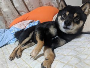 三連休をどう過ごす？？