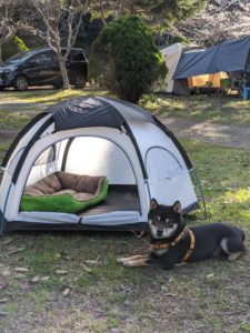 経営者とサラリーマンの違い 10箇条