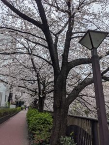 出会いと別れと再会の季節