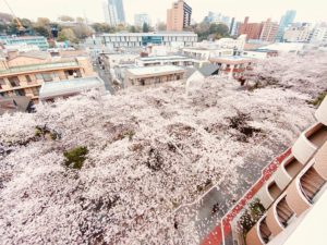 さて、新年度。オフィス持って、2社目を作りました。